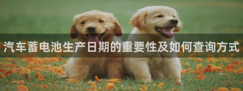 优发国际手机客户端官网