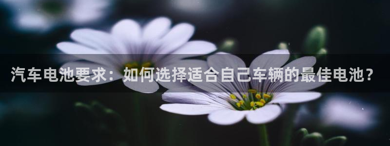 优发国际官方网平台