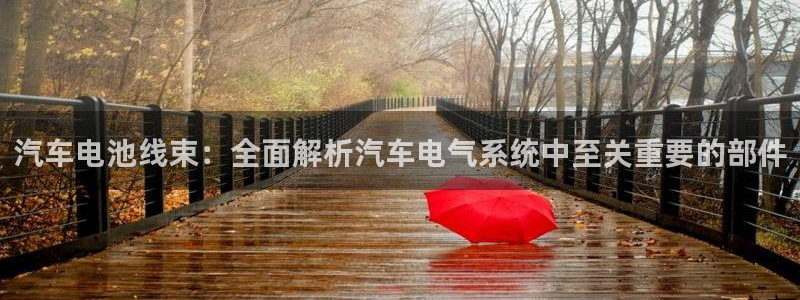 优发国际电话