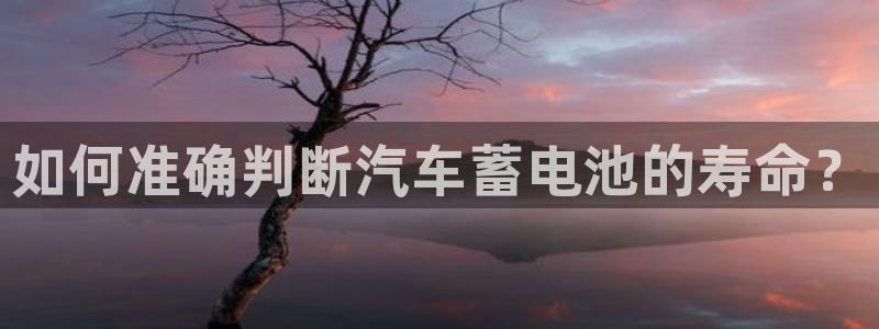 优发国际安卓版下载安装苹果