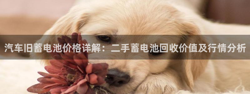 优发国际官网是多少号码