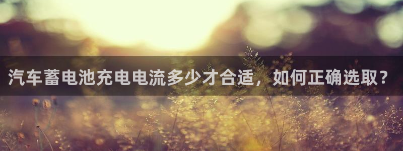 优发国际这个平台怎么样啊