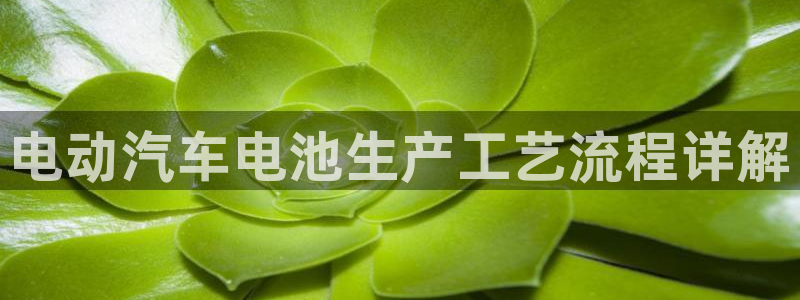 优发国际手机客户端官网下载