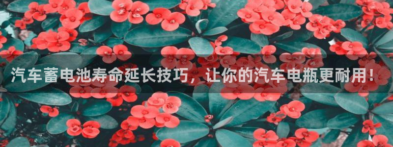 优发国际官网手机版入口