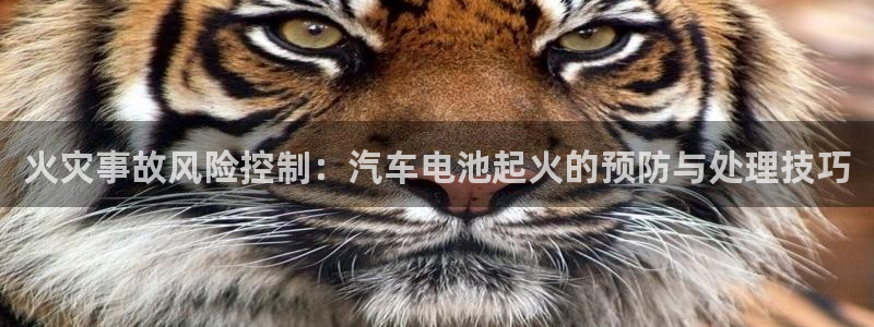 优发国际客服联系方式电话