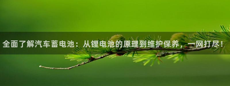 优发国际怎么样