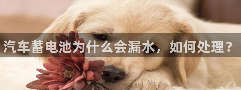 优发国际集团股份有限公司