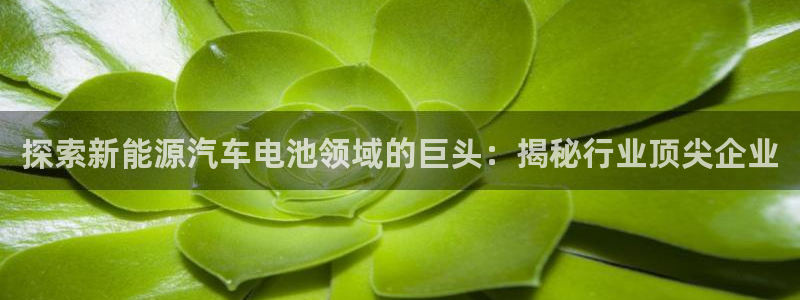 优发国际网站多少