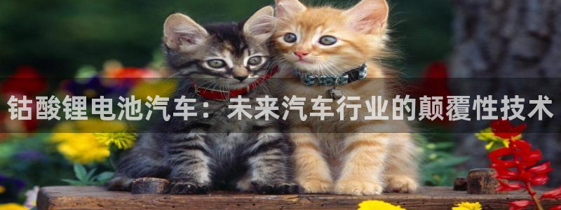 优发国际官网登陆