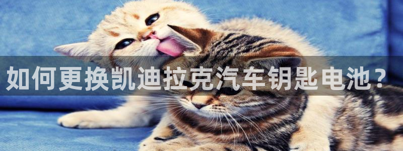 优发国际app官网下载安装