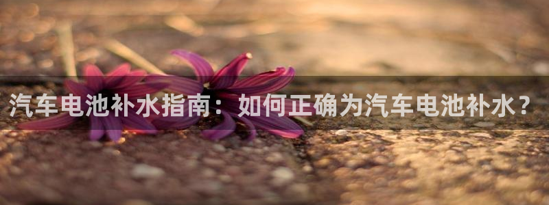 优发国际集团股份有限公司