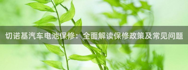 优发国际手机版唯一官网是什么