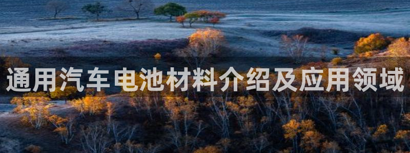 优发国际手机版客户端下载