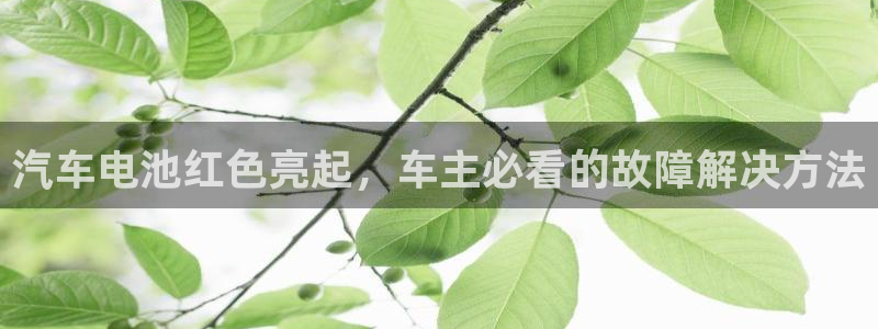 优发国际官网官方网址