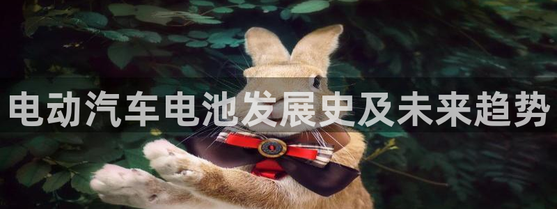 优发国际手机版网站