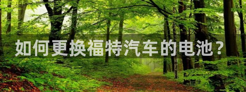 优发国际集团股份有限公司是国企吗