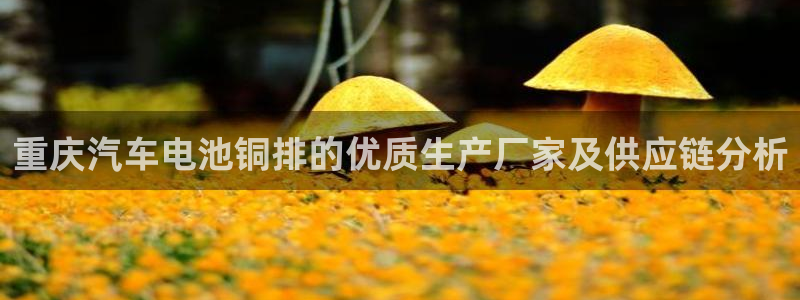 优发国际手机版唯一官网下载