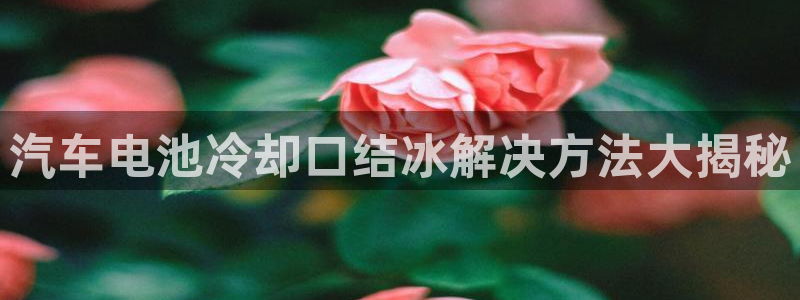 优发游戏官网