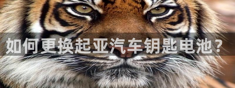 优发国际-触即发