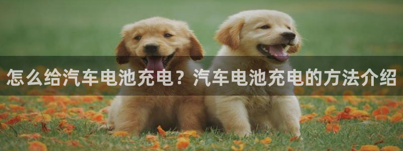 优发国际官网手机版下载