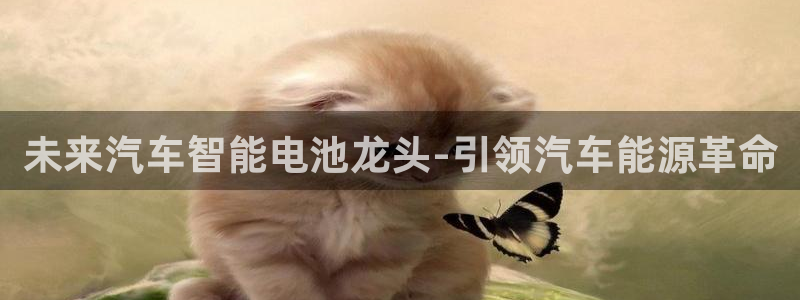 优发国际手机版唯一官网