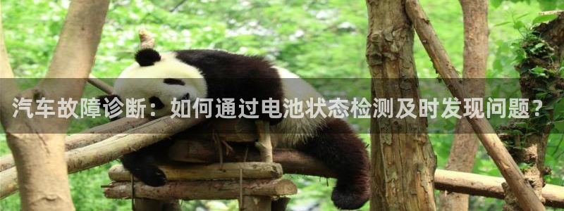 优发国际官网
