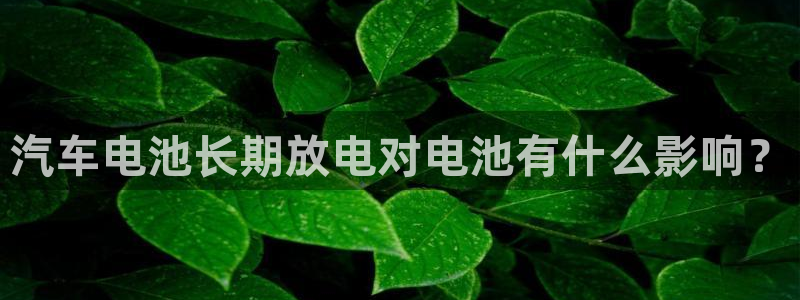 优发国际手机版唯一官网