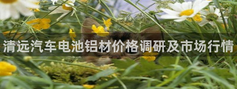 优发国际游戏