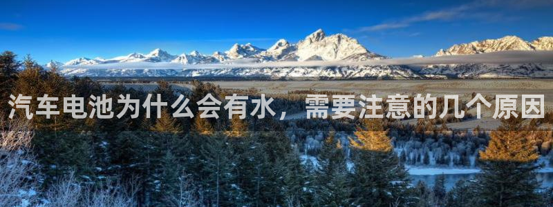 优发国际的官网是什么