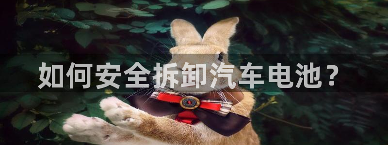 优发国际网站官网