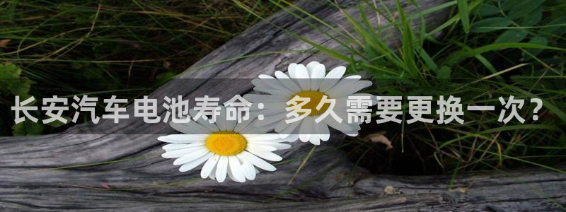 优发国际手机app下载安装苹果