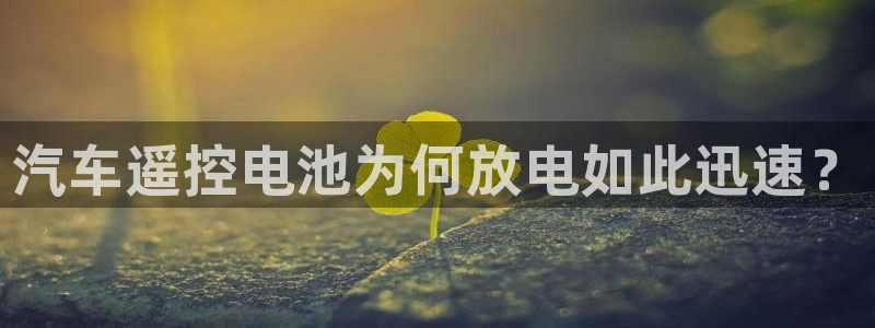 优发国际的官网是什么