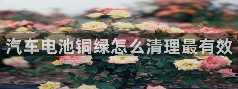 优发国际app