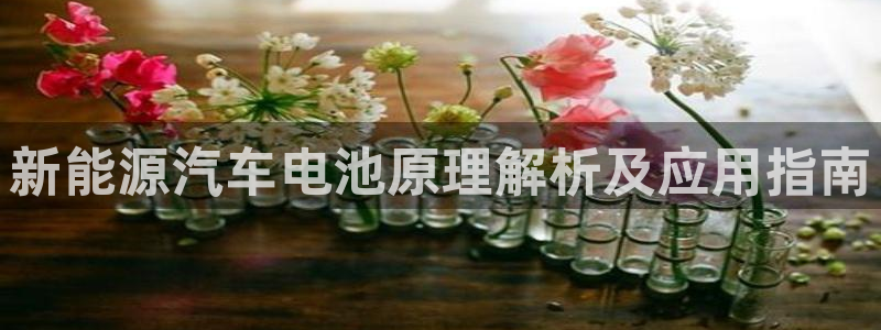 优发国际是大平台吗：新能源汽车电池原理解析及应用指南