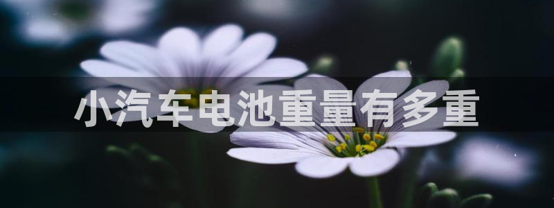 优发国际手机版唯一官网