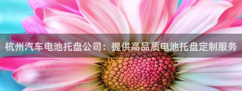 优发国际娱乐官网多少?：杭州汽车电池托盘公司：提供高品质电池托盘定制服务