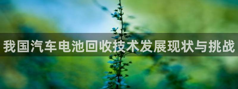 优发国际平台g8怎么样