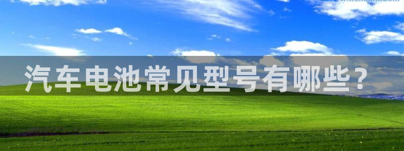 优发国际集团股份有限公司是国企吗