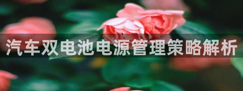 优发国际平台u8