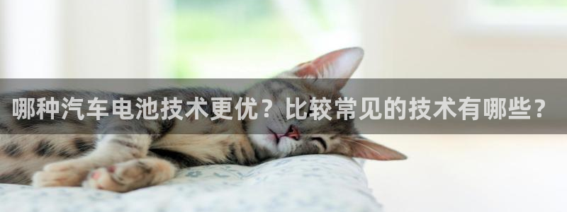 优发国际平台app下载