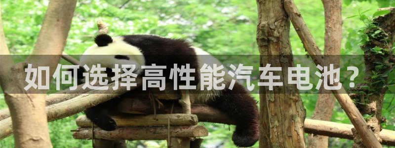 优发娱乐官网地址