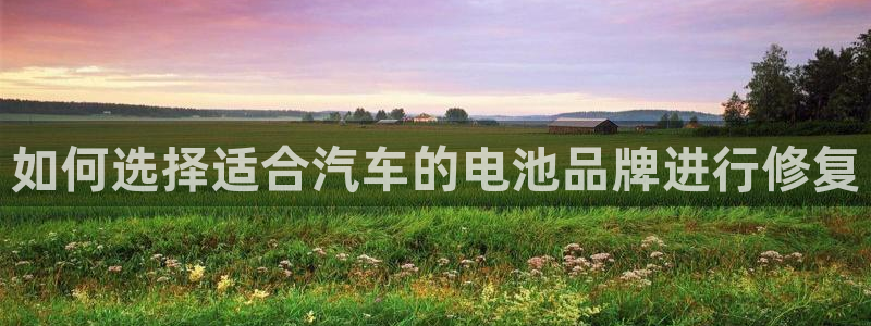 优发国际网站多少