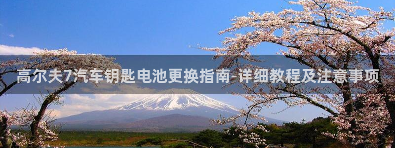 优发国际youfa966：高尔夫7汽车钥匙电池更换指南-详细教程及注意事项