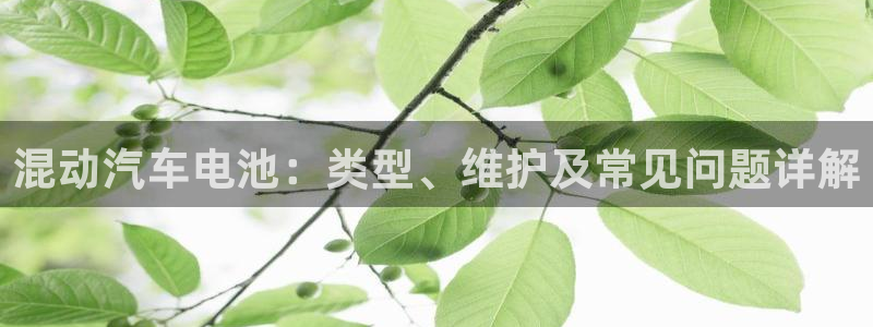 优发国际手机版下载官网：混动汽车电池：类