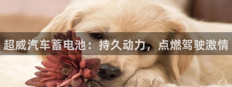 优发国际官网下载