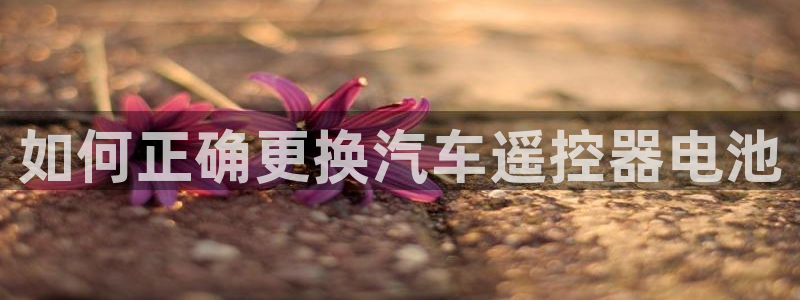 优发国际手机版下载