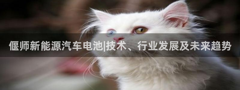 优发国际手机版下载