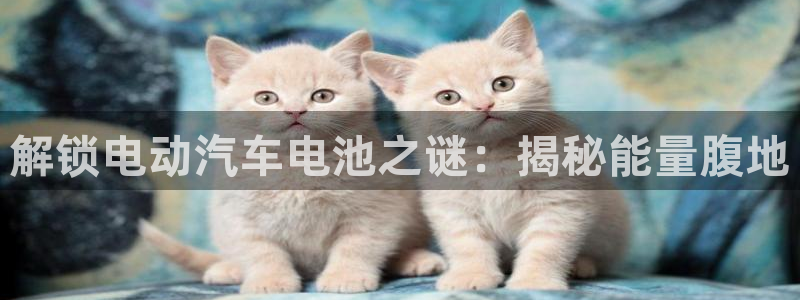 优发国际的官网是