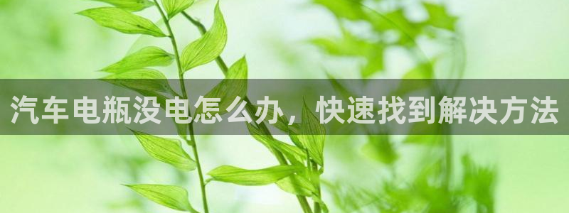 优发国际软件下载官网