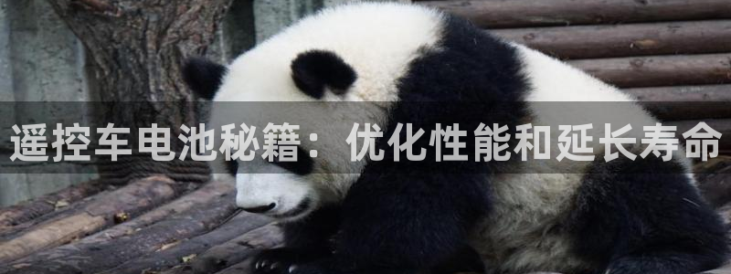 优发国际手机版下载